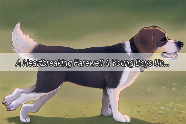 A Heartbreaking Farewell A Young Boys Unforgettable Journey with His Beloved Dog